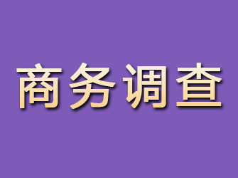 廉江商务调查